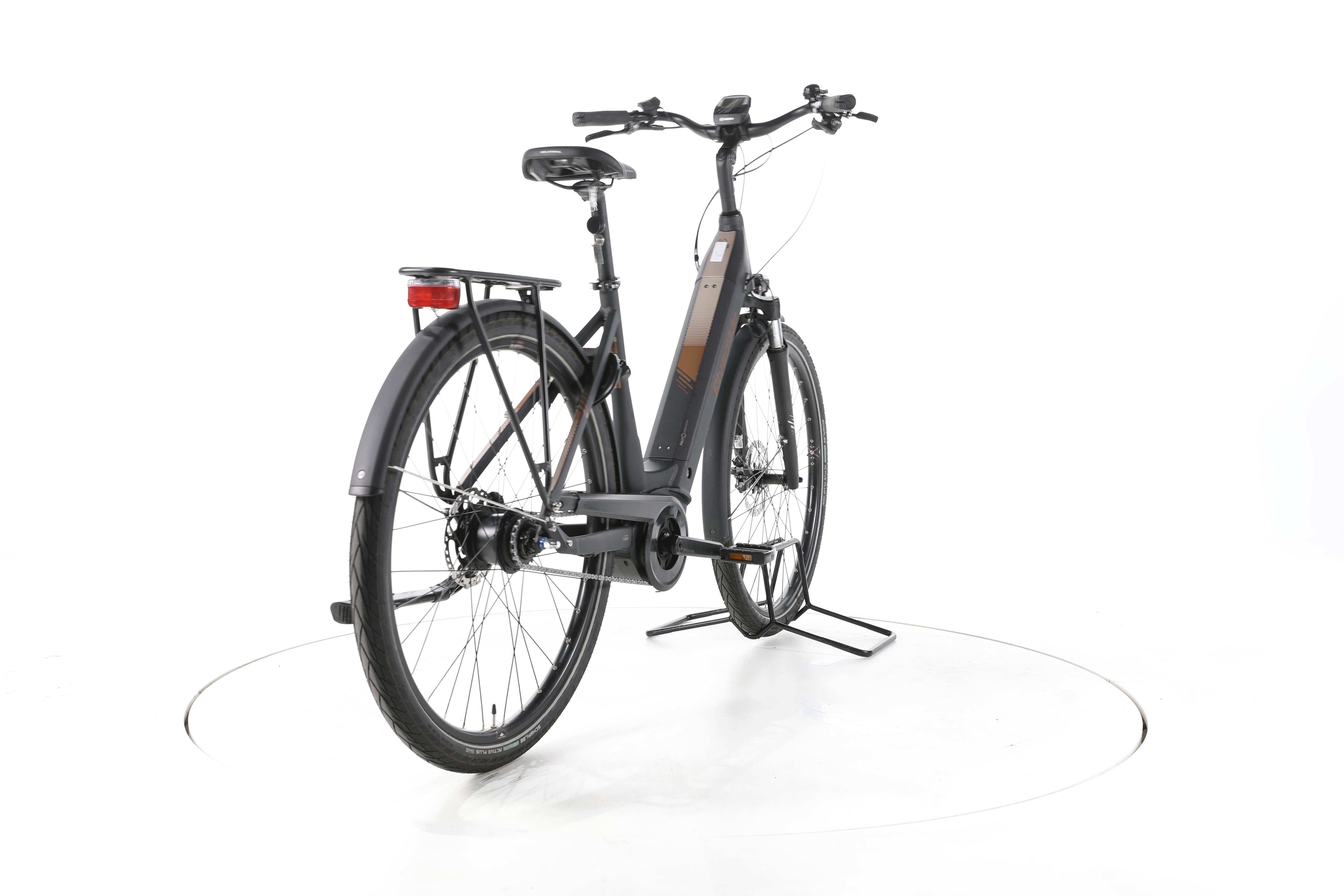 RIVERSIDE EC900 Trekking E-Bike Tiefeinsteiger - Image 11