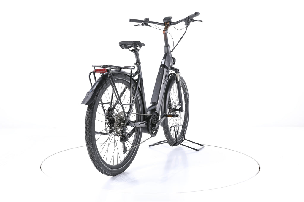 Pegasus Strong EVO 10 Trekking E-Bike Tiefeinsteiger - Image 11
