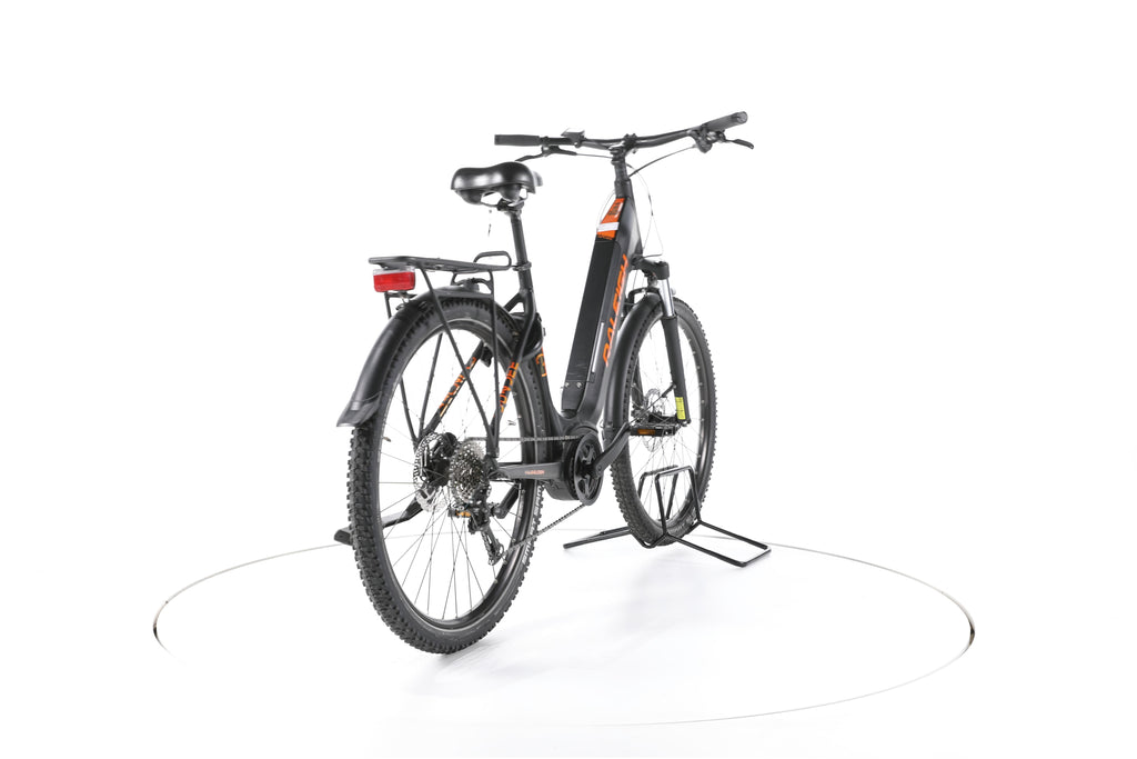 Raleigh Dundee LTD Trekking E-Bike Tiefeinsteiger - Image 11