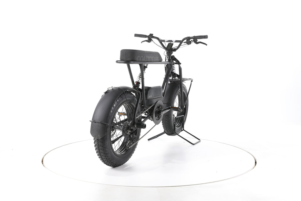 Coast Cycles BUZZRAW X E-Fatbikes - Image 11