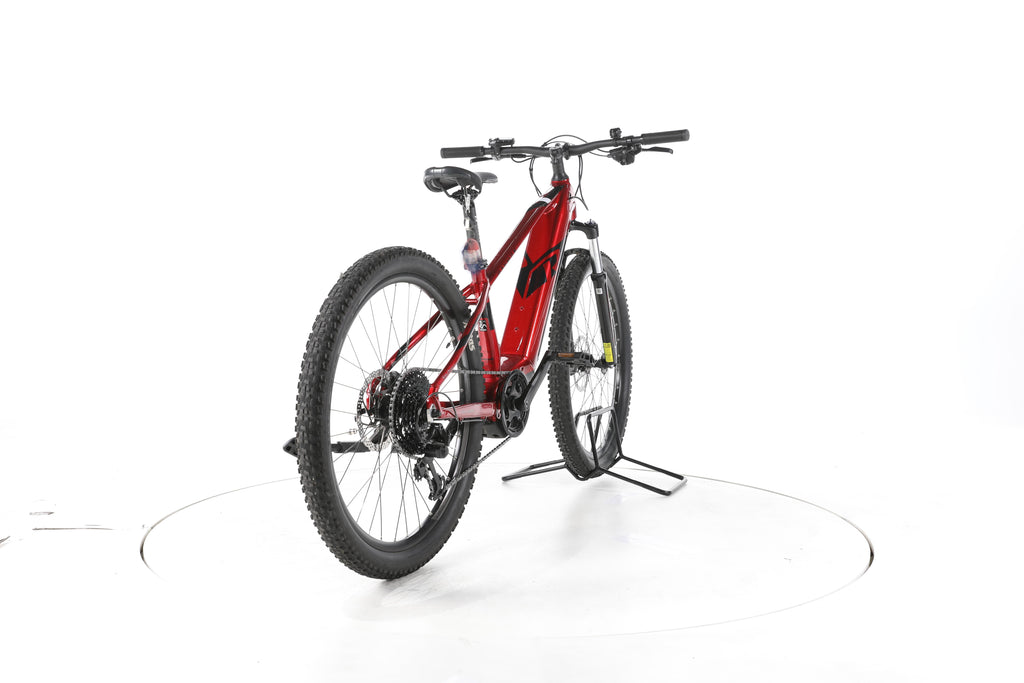 R Raymon Hardray E 4.0 E-Bike - Image 11