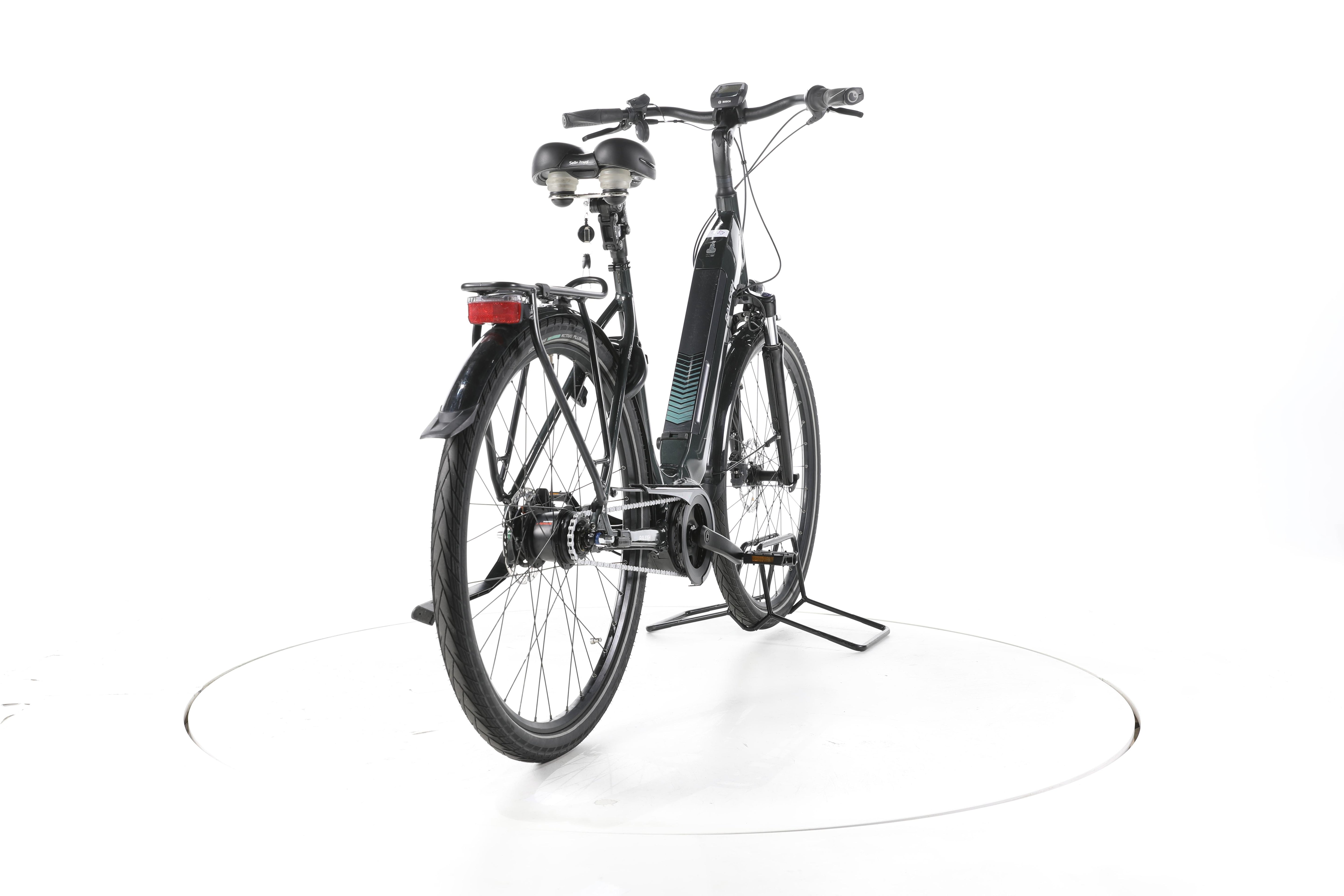 Raleigh Bristol 8 City E-Bike Tiefeinsteiger - Image 11
