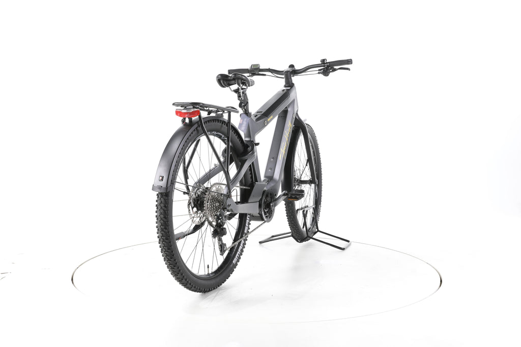Kneissl Design Carbon Urban Prestige Trekking E-Bike Carbon - Image 11