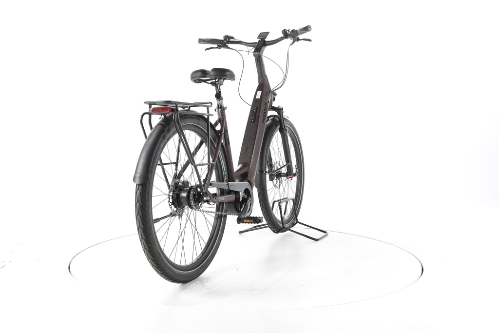 Pegasus Strong 5R City E-Bike Tiefeinsteiger 2024 - Image 11