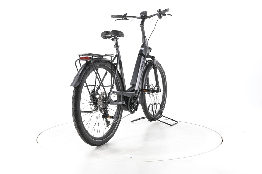 Pegasus Strong EVO 10 Trekking E-Bike Tiefeinsteiger - Image 11