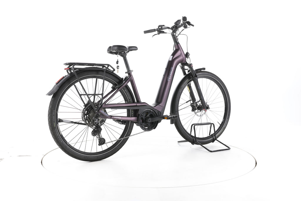 Pegasus Premio Evo 11"40 Years" Trekking E-Bike Tiefeinsteiger - Image 12