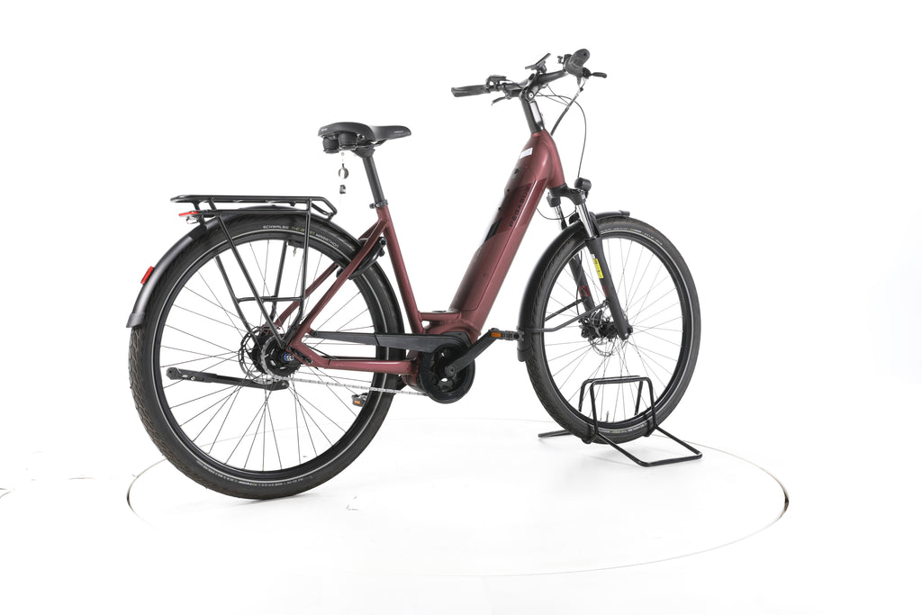 Pegasus Solero EVO 5F City E-Bike Tiefeinsteiger 2024 - Image 12