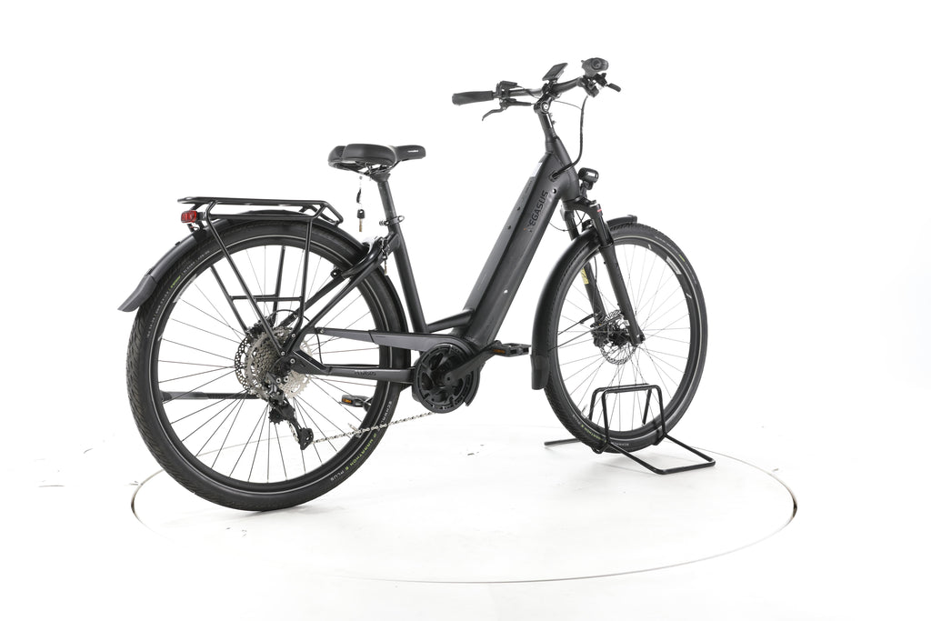Pegasus Premio Evo 10 Lite Trekking E-Bike Tiefeinsteiger 2024 - Image 12