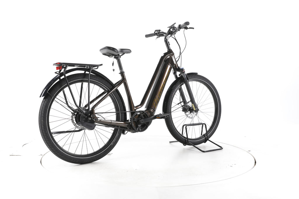 Diamant Opal Esprit City E-Bike Tiefeinsteiger - Image 12