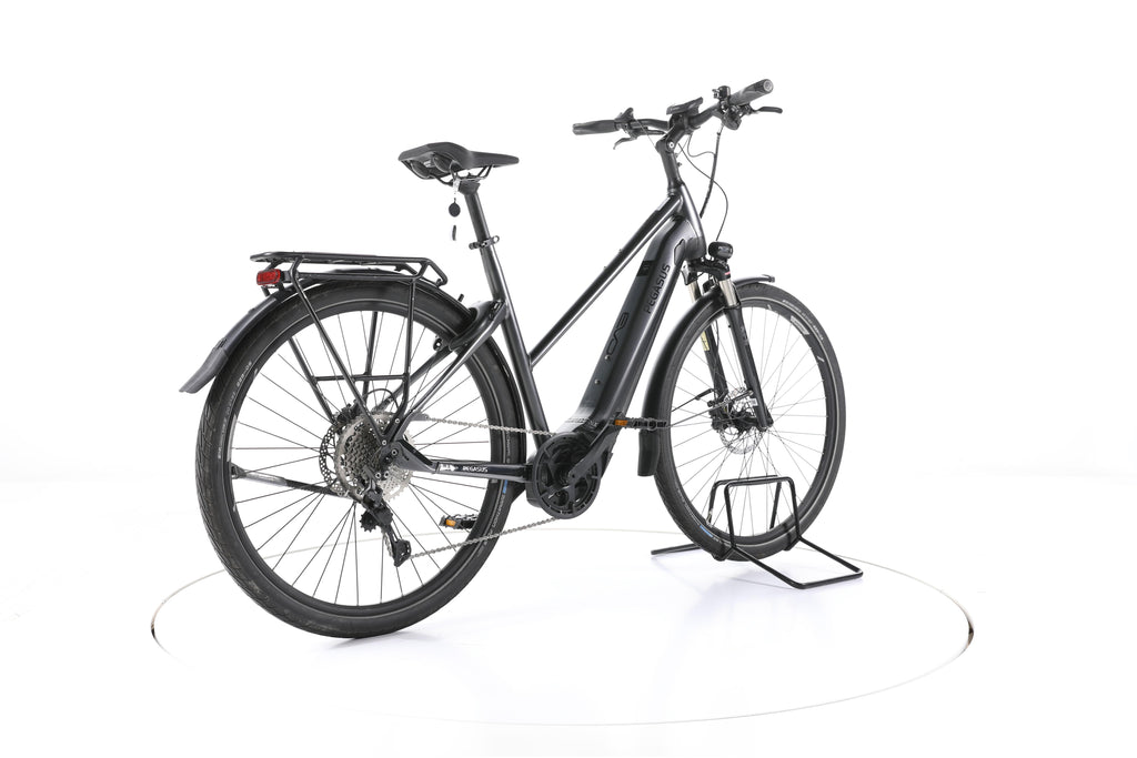 Pegasus Premio EVO 10 Lite Trekking E-Bike - Image 12