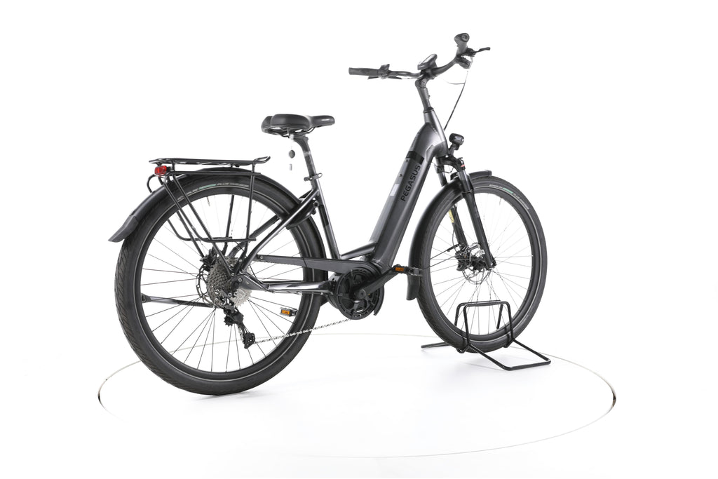 Pegasus Strong Evo 10 Trekking E-Bike Tiefeinsteiger - Image 12