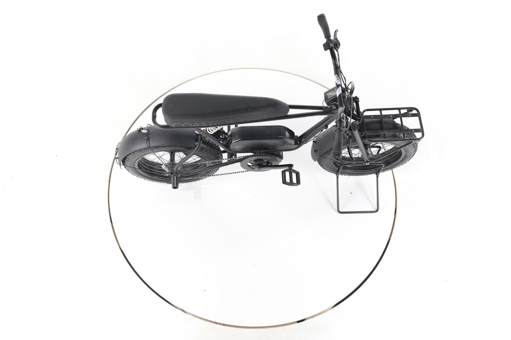 Coast Cycles BUZZRAW X E-Fatbikes - Image 13