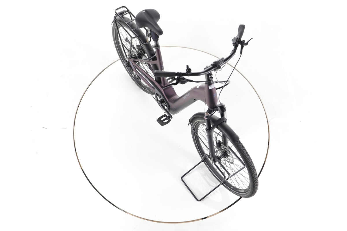 Pegasus Premio EVO Lite Trekking E-Bike Tiefeinsteiger - Image 15