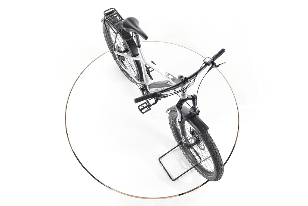 Bionicon Earp SUV 2 Trekking E-Bike - Image 15