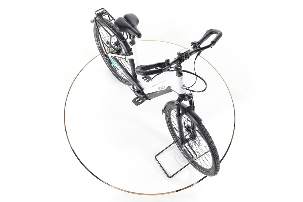Pegasus Premio Evo 10 Lite Comfort Trekking E-Bike Tiefeinsteiger - Image 15