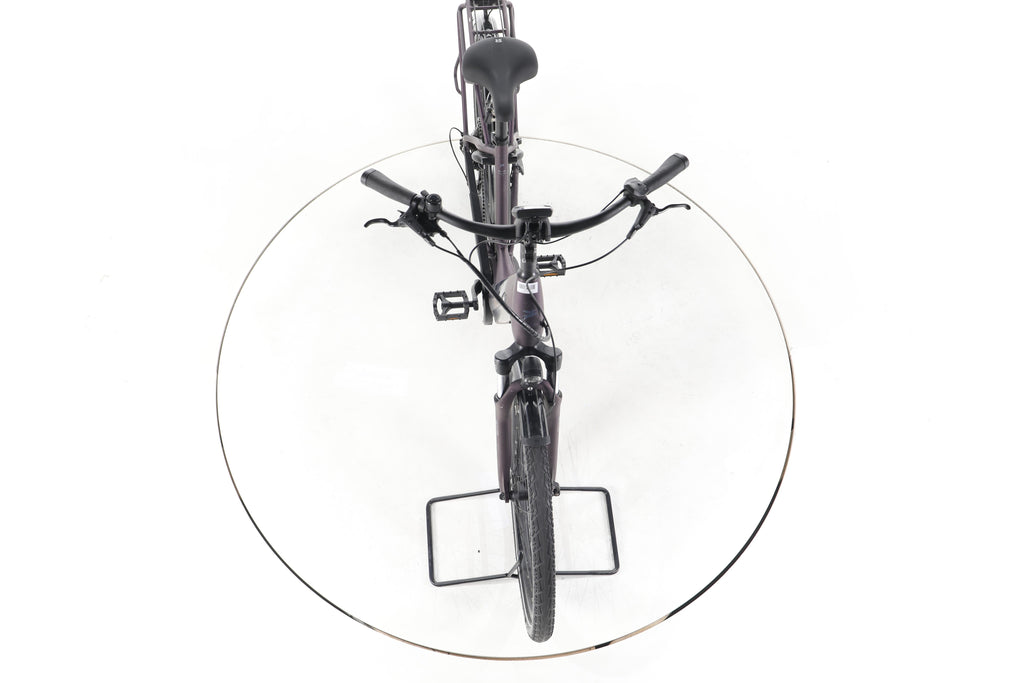 Pegasus Solero EVO 9 Trekking E-Bike Tiefeinsteiger - Image 16