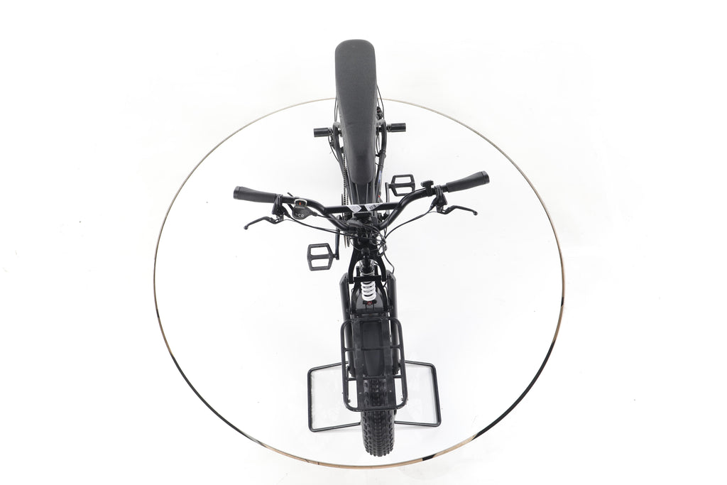Coast Cycles BUZZRAW X E-Fatbikes - Image 16