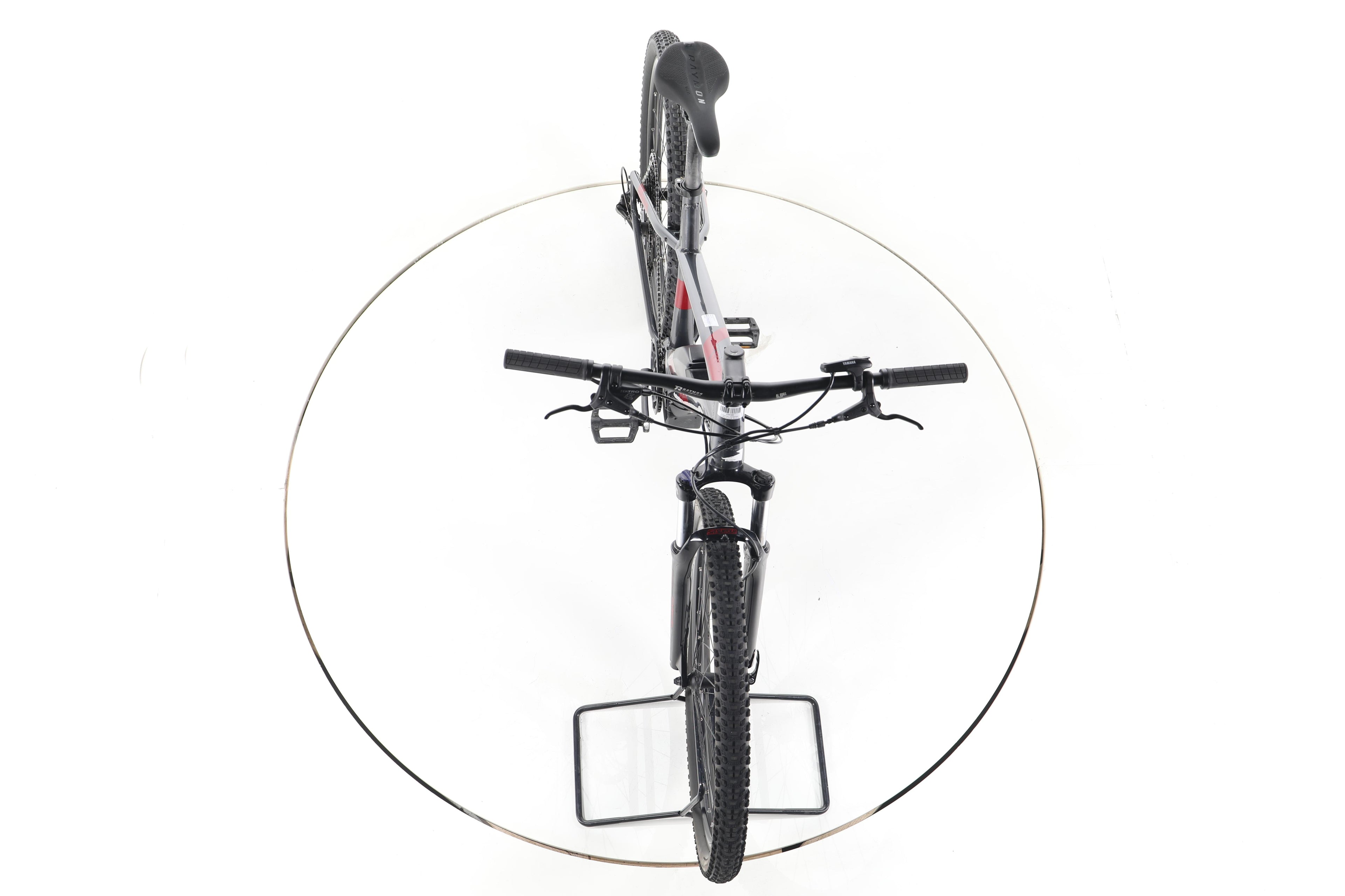 R Raymon HardRay E 3.0 E-Bike - Image 16