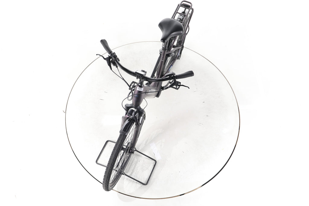 Pegasus Solero Evo 9 Trekking E-Bike Tiefeinsteiger 2024 - Image 17