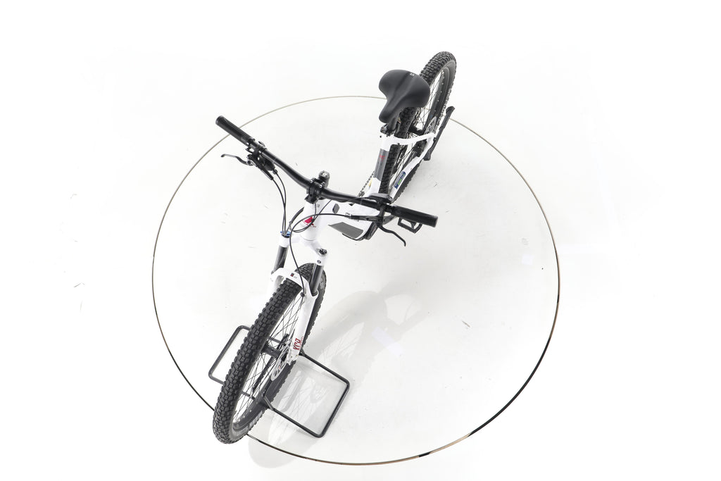 Bulls Aminga EVA 2 Trekking E-Bike Tiefeinsteiger - Image 17