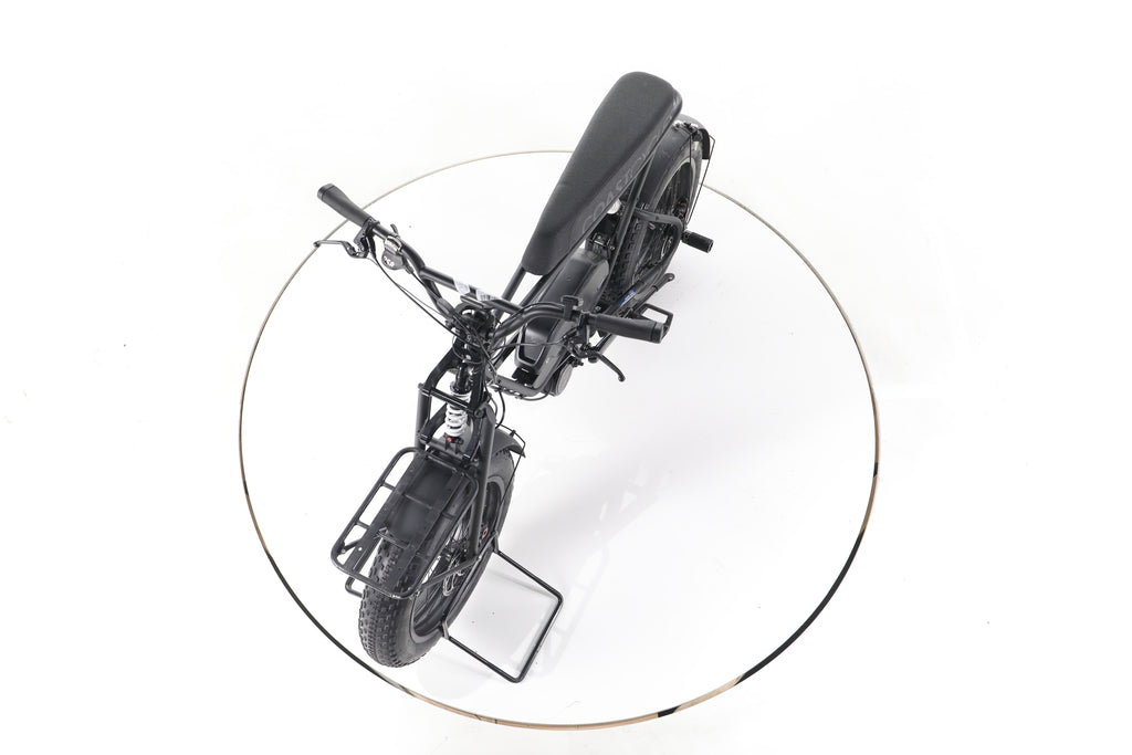 Coast Cycles BUZZRAW X E-Fatbikes - Image 17
