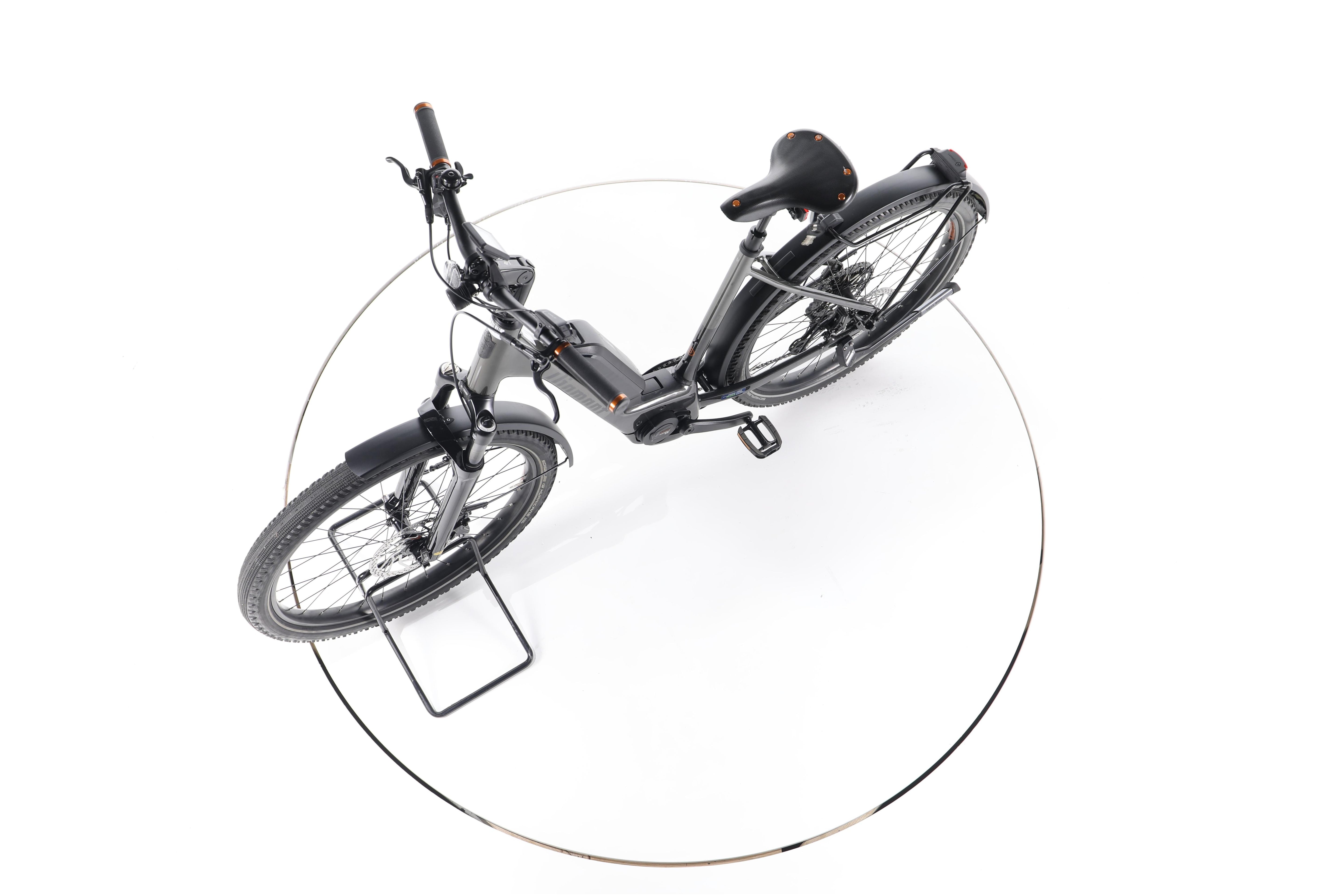 Diamant 138 Trekking E-Bike Tiefeinsteiger 2023 - Image 18