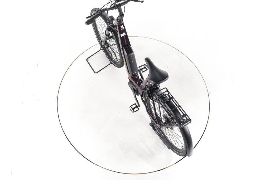 ADVANCED Trekking Plus Trekking E-Bike Tiefeinsteiger - Image 21