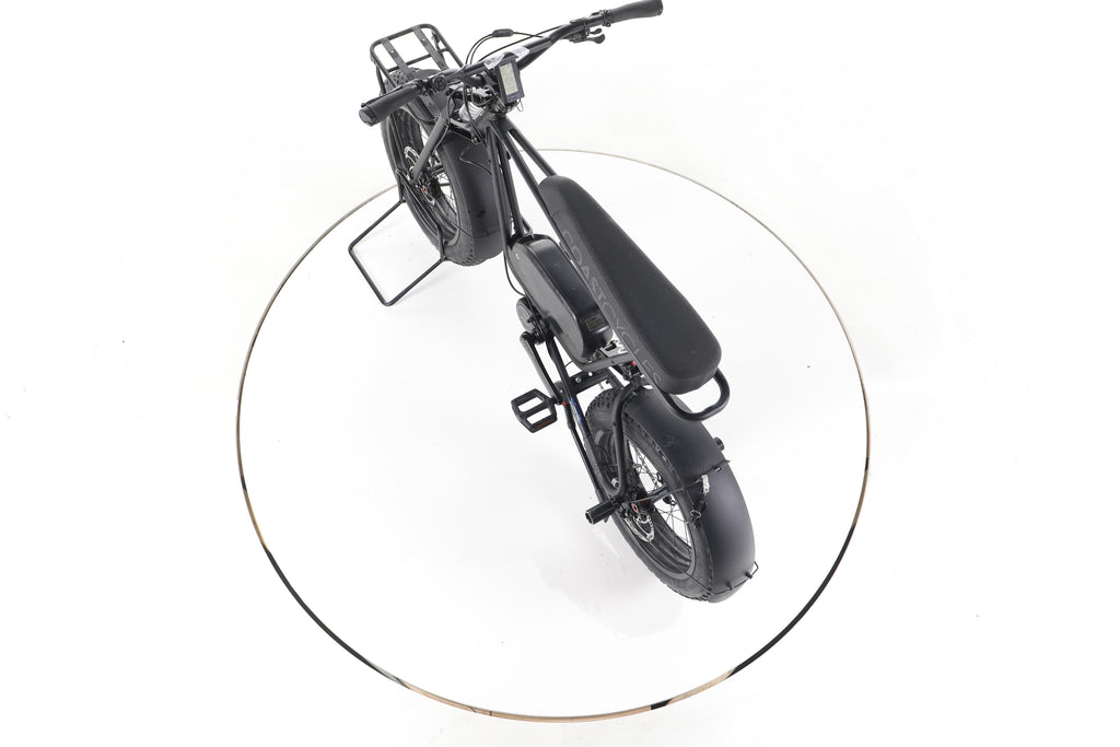 Coast Cycles BUZZRAW X E-Fatbikes - Image 21