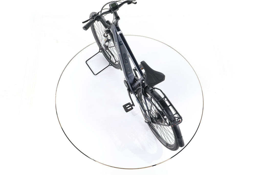 Pegasus Premio Evo 10 Lite Trekking E-Bike - Image 21