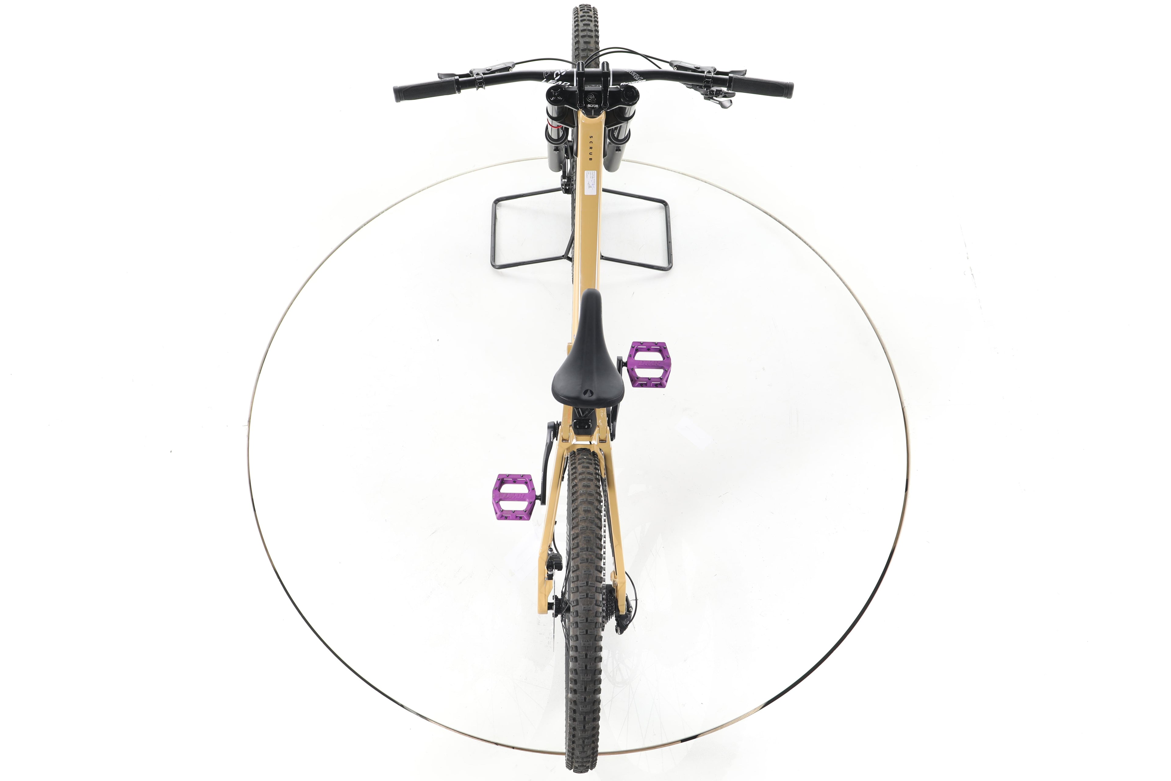 Rose Scrub DC 1 - Image 22