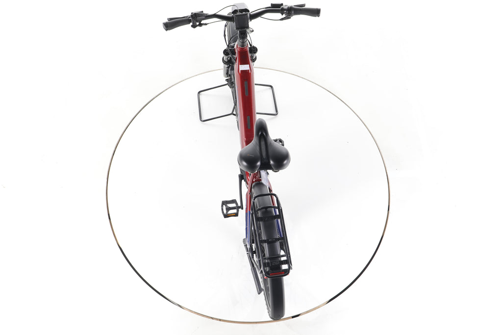 Haibike Trekking 9 Trekking E-Bike Tiefeinsteiger - Image 22