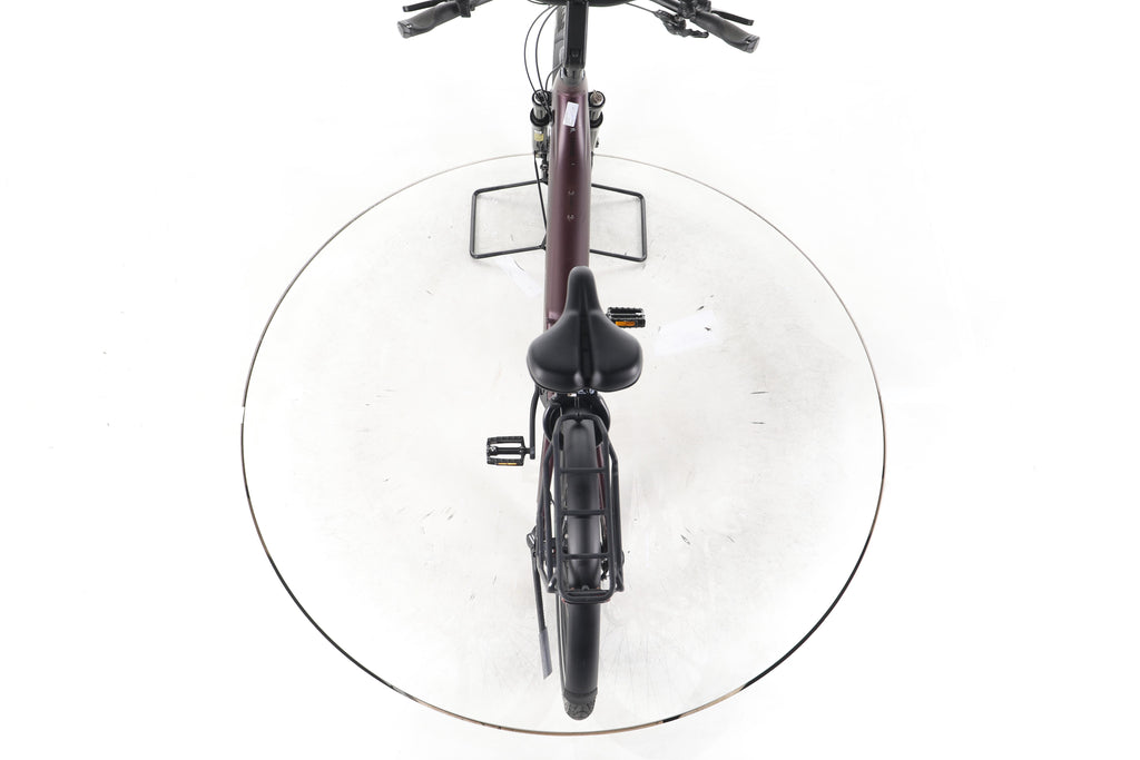 Pegasus Strong Evo 10 Lite Trekking E-Bike Tiefeinsteiger 2024 - Image 22